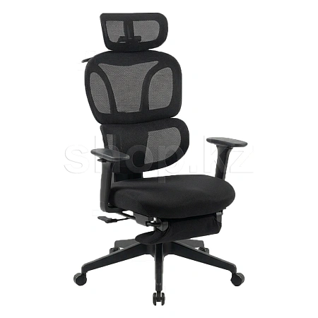 Кресло офисное компьютерное FlexiSpot BS5B-PRO, Black