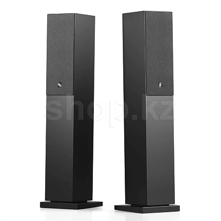 Audio Pro A38 W, Black акустикалық жүйесі