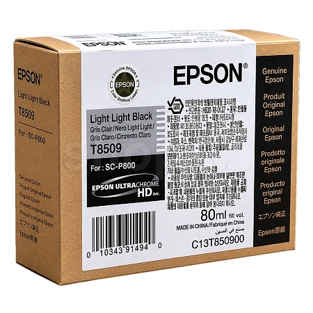 Картридж Epson C13T850900, Black