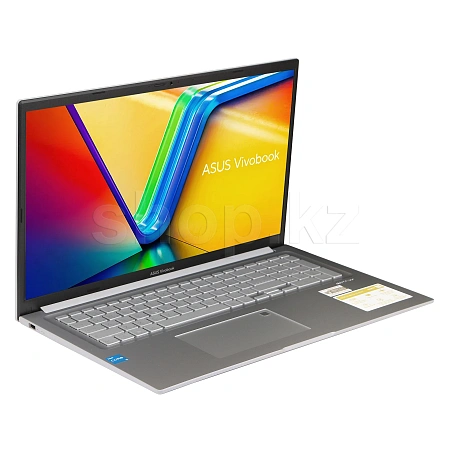 ASUS Vivobook 17 X1704VA (90NB10V1-M00S10) ноутбугы