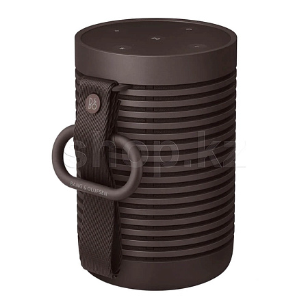 Колонка Bang & Olufsen Beosound Explore (2.0), Chestnut