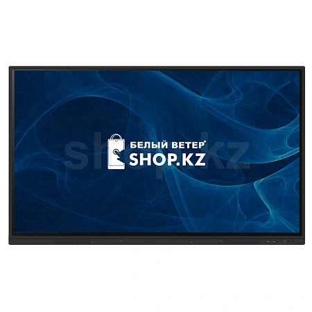 iiyama PL TE6512MIS-B1AG, Black интерактивті панель