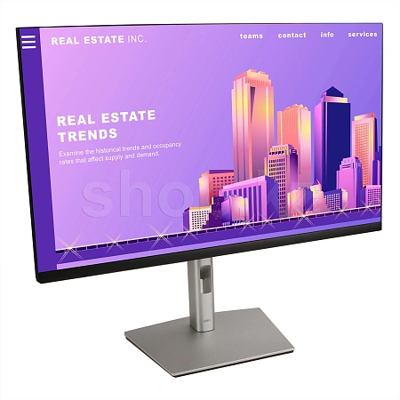 Монитор 23.8" Dell P2422H, Black-Silver