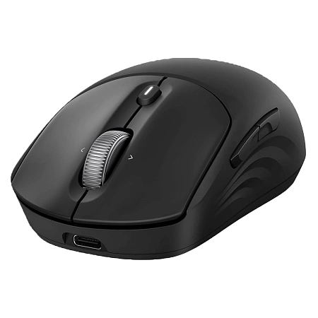 Мышь HP 700 Rechargeable, Black, USB