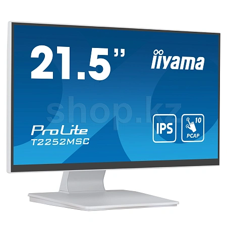 21.5" iiyama ProLite PL2252M, White мониторы