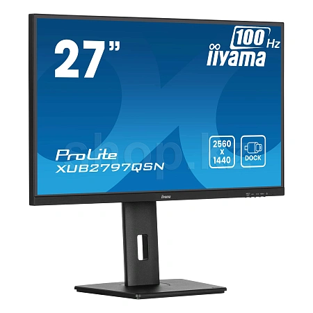 Монитор 27" iiyama ProLite XUB2797QSN-B2, Black