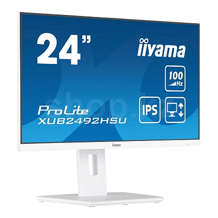 Монитор 24" iiyama ProLite XUB2492HSU-W6, White