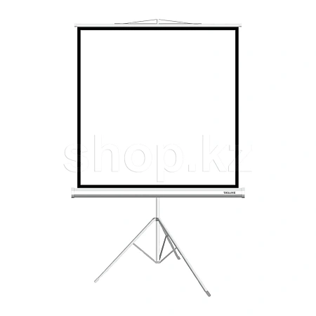 Экран на треноге XG DLS-T203xW