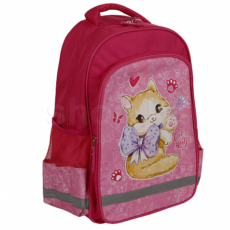 ПИФАГОР Cat day 270656, Pink мектеп рюкзагы