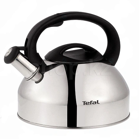 Чайник Tefal C7922024, Steel