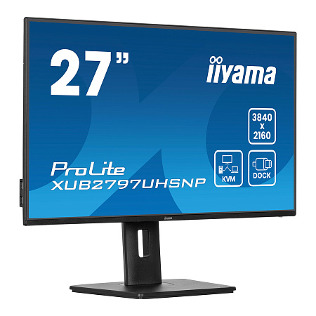 Монитор 27" iiyama ProLite XUB2797UHSNP-B1, Black