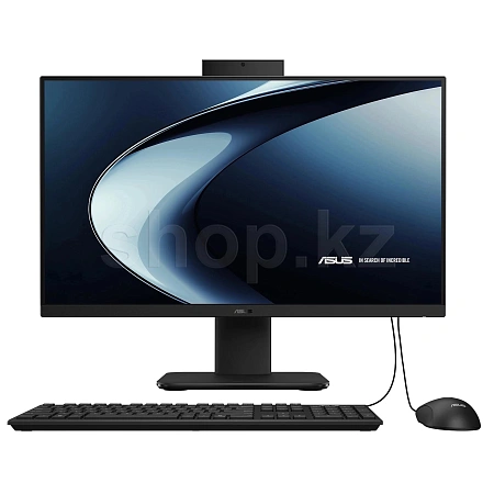 Моноблок ASUS ExpertCenter P440VAK-BPC6670 (90PT03X5-M05KA0)