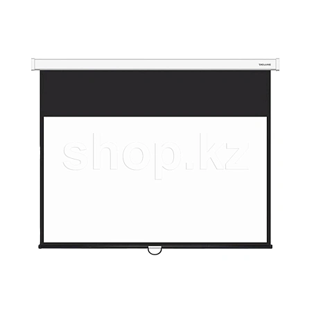 Экран настенный/потолочный XG DLS-M300x180W