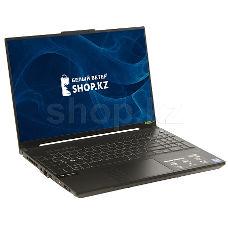 Ноутбук ASUS TUF Gaming F16 FX607JV (90NR0HV6-M008D0)