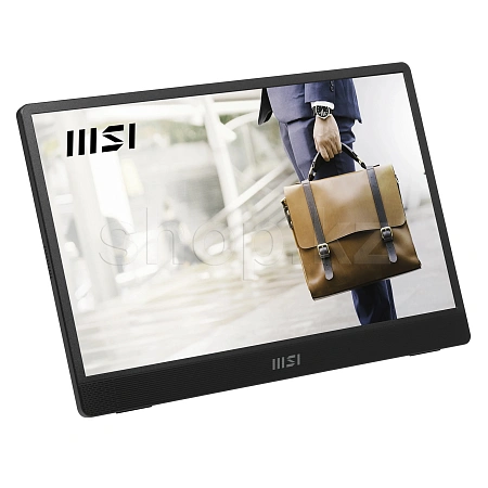 Монитор 15.6" MSI PRO MP161 E2, Iron Gray