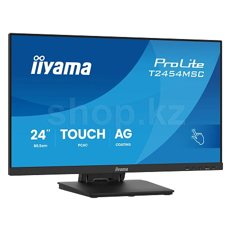 Монитор 24" iiyama ProLite PLT2454M, Black