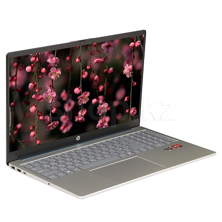 Ноутбук HP 15-fc0134ci (D2GN9EA)