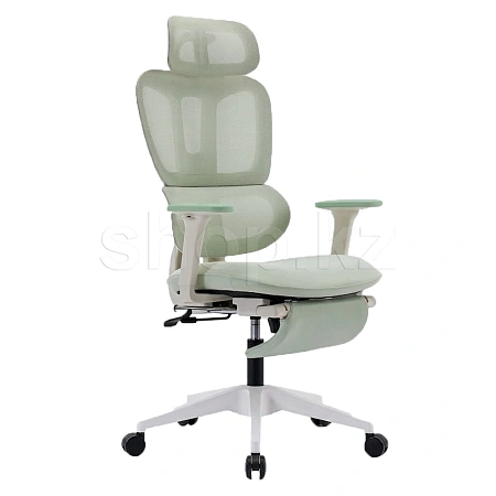 Кресло офисное компьютерное FlexiSpot BS5LG-PRO, Light Green