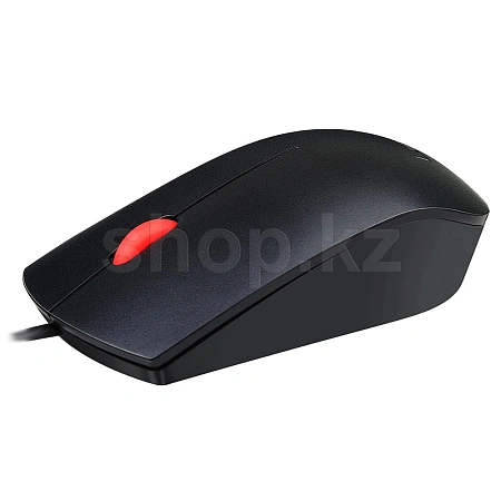 Мышь Lenovo Essential, Black, USB