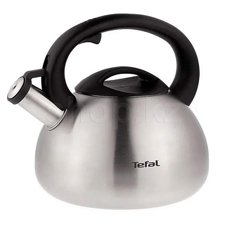 Чайник Tefal C7921024, Steel