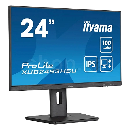 Монитор 24" iiyama ProLite XUB2493HSU-B7, Black