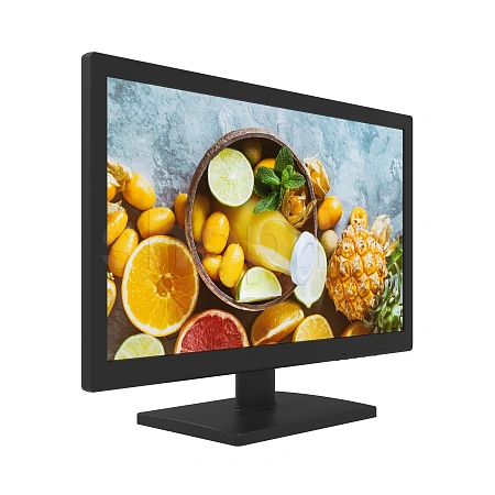 Монитор 18.5" Hikvision DS-D5019QE-B, Black