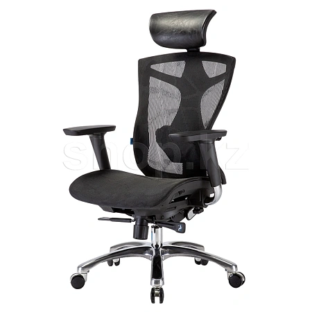 Кресло офисное компьютерное Sihoo V1-N101, Black