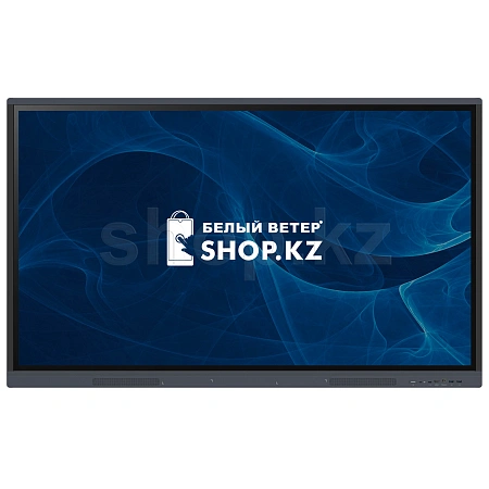 Интерактивная панель iiyama PL TE5504MIS-B3AG, Black