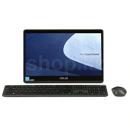 Моноблок ASUS ExpertCenter E1600WKAT (90PT0391-M01BL0)