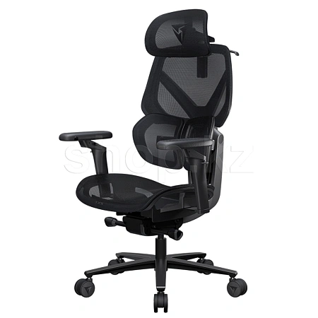 Кресло офисное компьютерное ThunderX3 FLEX Pro-Mesh, Black