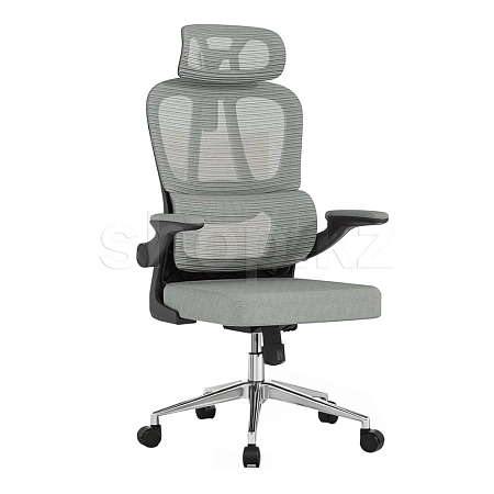 Кресло офисное компьютерное FlexiSpot OC19G, Gray