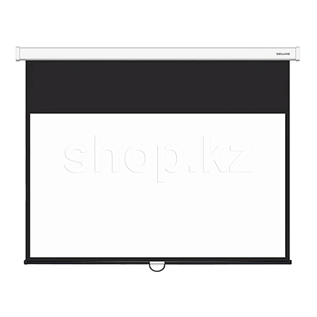 Экран настенный XG DLS-M221x121W