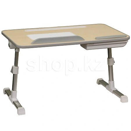 Eco Estelar LPD01-12, Silver ноутбук тірегі